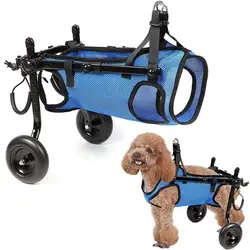 Silla de ruedas para perros – Soporte de movilidad y rehabilitación