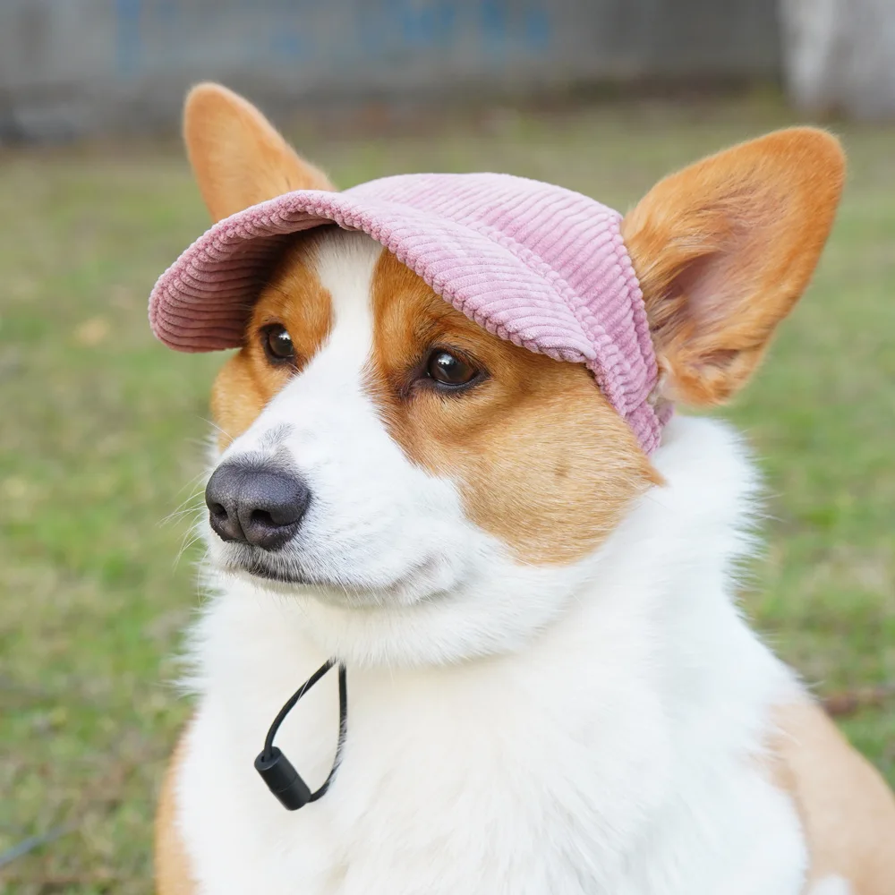 Gorra de béisbol ajustable para mascotas, sombrero informal para gatos, perros pequeños, medianos y grandes, accesorios para perros al aire libre - imagen 2