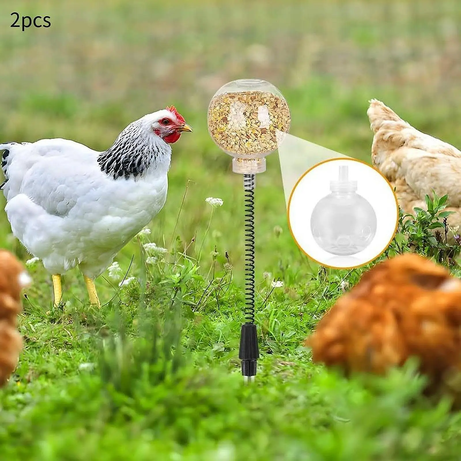 2x Chicken Peck Toy Slow Feeder Slow feed Release Toy for Birds Duck Parrots