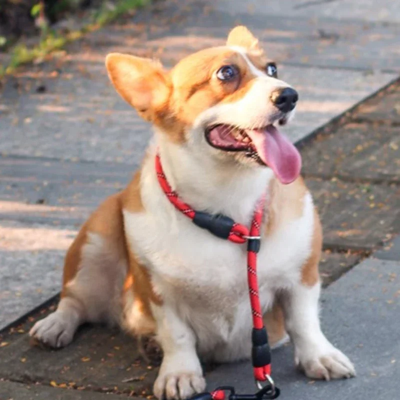 Collar antideslizante reflectante para perros, Collar para entrenamiento de mascotas, grande y mediano, tapón para caminar al aire libre, collares para cachorros, suministros deslizantes para mascotas - imagen 2
