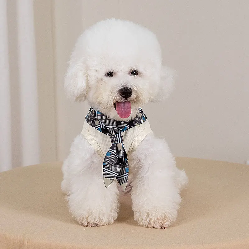 Chaleco con lazo de otoño e invierno para mascotas, traje para gatos, camisa Base para mascotas, chaleco de peluche, ropa para cachorros, ropa para perros pequeños - imagen 2