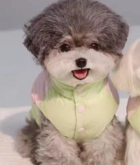 Abrigo peluche para gatos pequeños – Cuello alto invierno - imagen 5