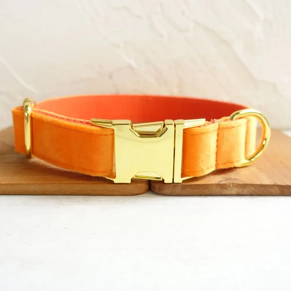 Collar de perro personalizado con grabado gratuito, correa para mascotas a juego, hebilla de Metal de contactos personalizados, Collar de terciopelo naranja grueso - imagen 2