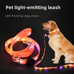 Collar LED para perros con carga USB y correa intermitente de moda