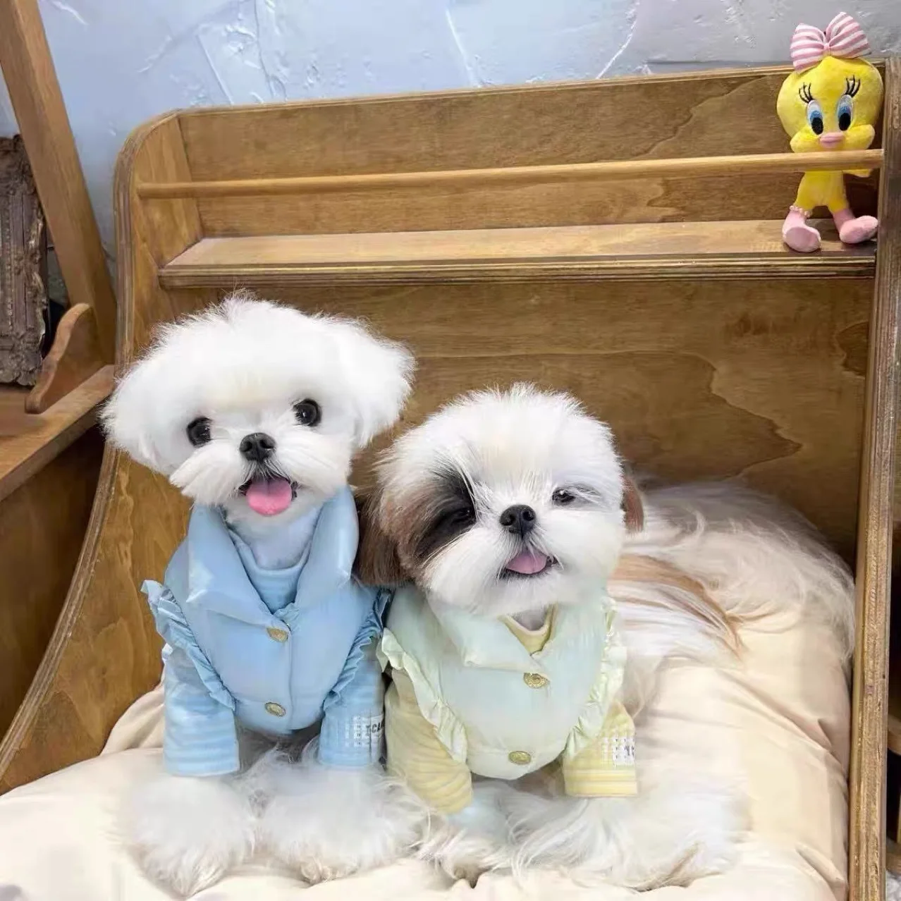 Abrigo cálido de terciopelo para gatos y perros pequeños - Corazón - imagen 4
