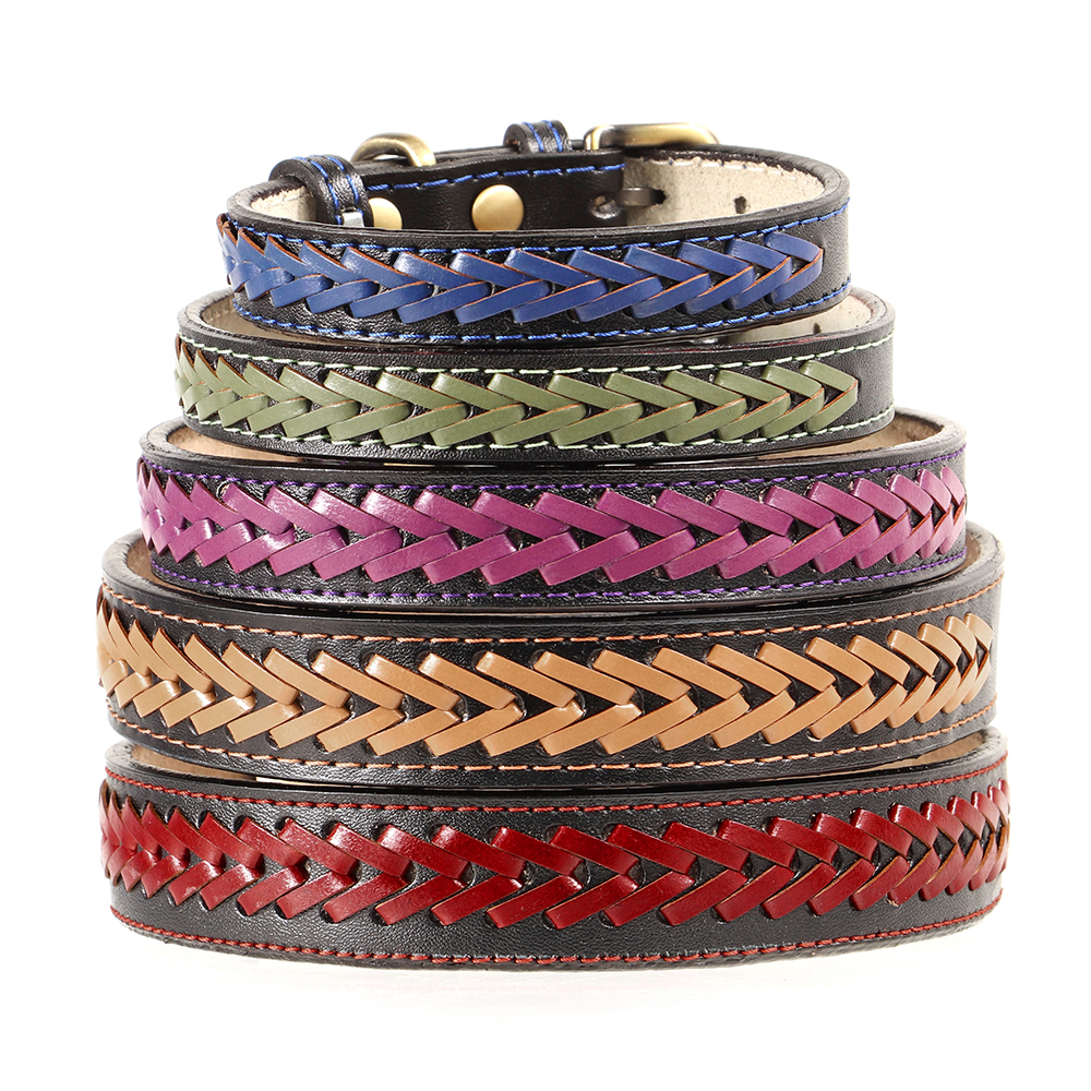 Accesorios para perros pequeños y medianos - versatilidad