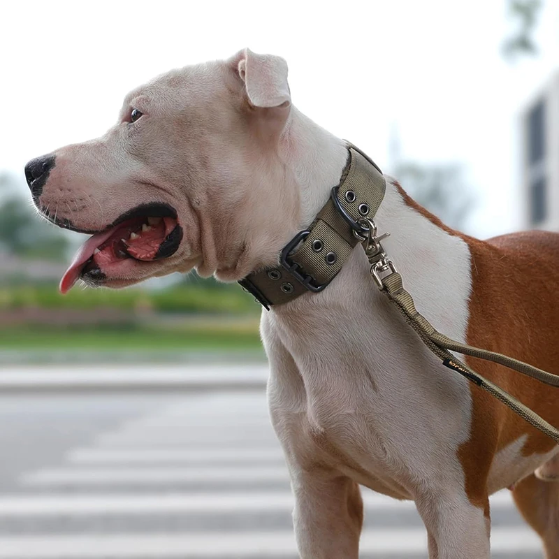 Collar militar ajustable para perros medianos y grandes con anillo D - imagen 4