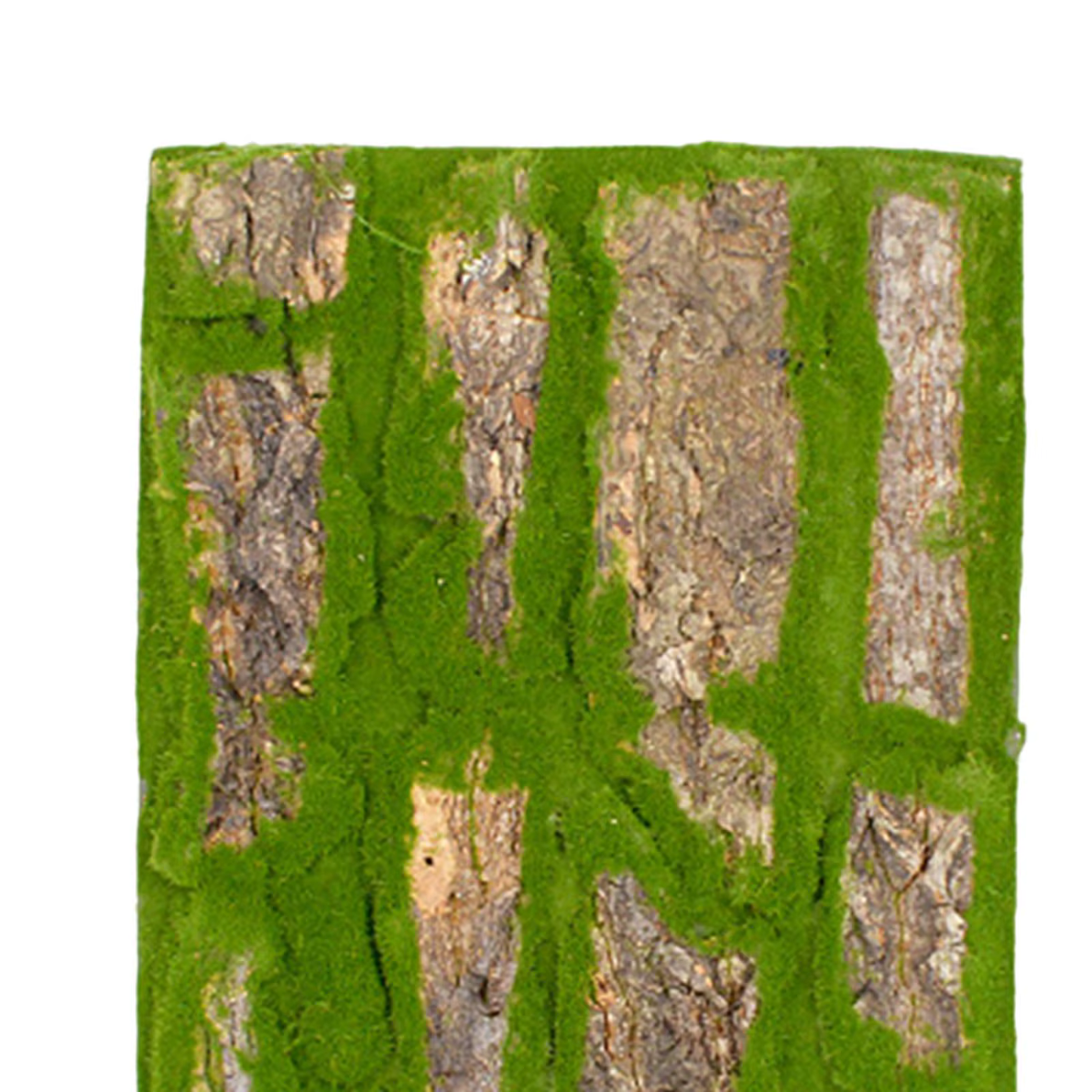 Corteza artificial para terrario de mascotas – Decoración realista - imagen 5