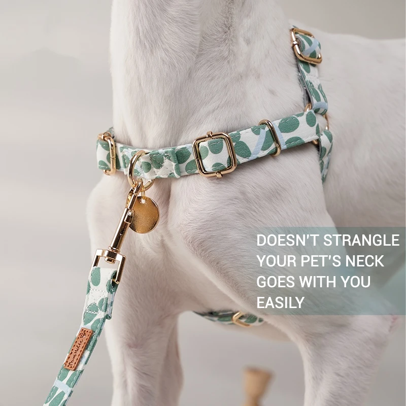 Arnés para perros a prueba de explosiones, correa para perros al aire libre, correa para caminar, suministros para mascotas antitiramiento de acceso rápido para perros pequeños - imagen 3