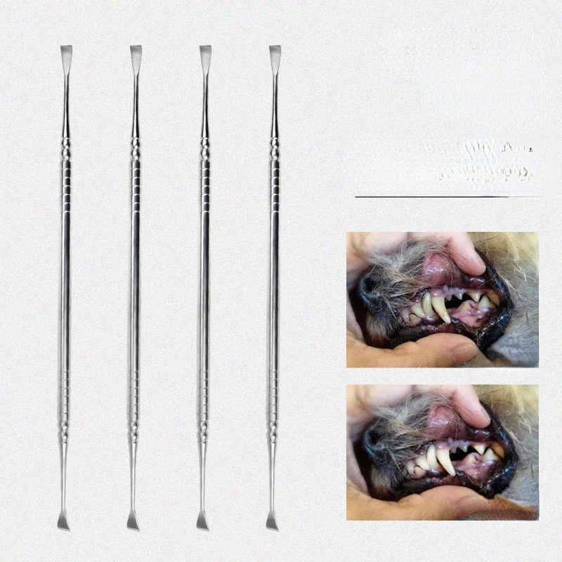 Raspador de dientes para mascotas, herramienta de eliminación de cálculo Dental de doble punta de acero inoxidable, escalador de dientes para limpieza de gatos y mascotas, accesorios para perros y cachorros - imagen 3