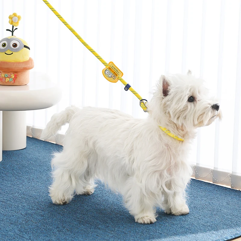 Correa a prueba de explosiones para perro, Correa canina para caminar, suministros de cadena, una P - imagen 3