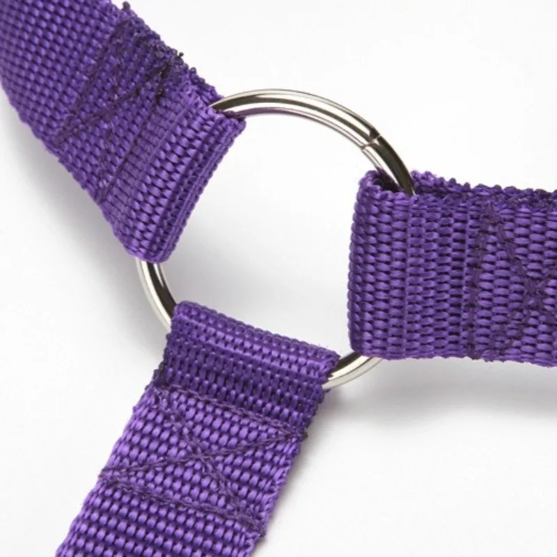 Cinturón de seguridad para automóvil para mascotas con longitud ajustable, correas de nailon sólidas para perros, suministros multifuncionales para perros al aire libre, cables básicos - imagen 4