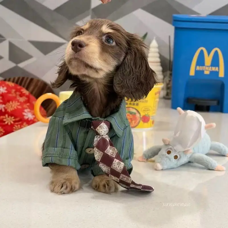 Camisa a rayas verdes para perro salchicha con corbata - Primavera - imagen 2