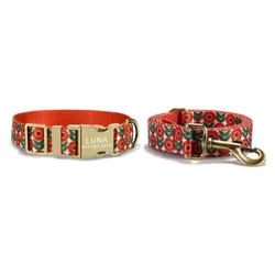 collar perro grabado gratis + correa a juego + detalle gato flores