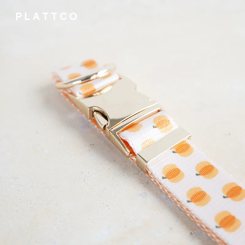 PLATTCO Pack collar y correa con estampado de calabaza para perro - imagen 5