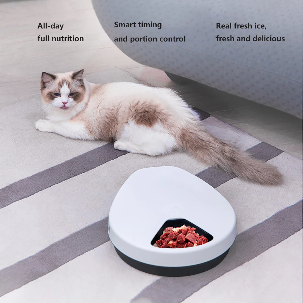 Comedero automático para mascotas, comida húmeda con refrigeración, dispensador con temporizador de 5 comidas, refrigeración semiconductora que mantiene la comida fresca de 12 horas para perros y gatos