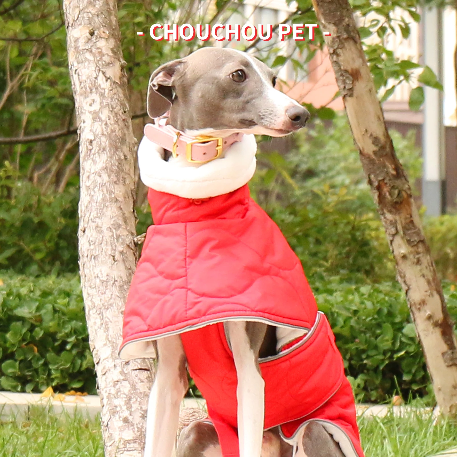 Chaqueta para mascotas gruesa impermeable cálida de algodón de invierno Whippet galgo italiano