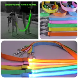 Correa LED para perros con luz recargable USB