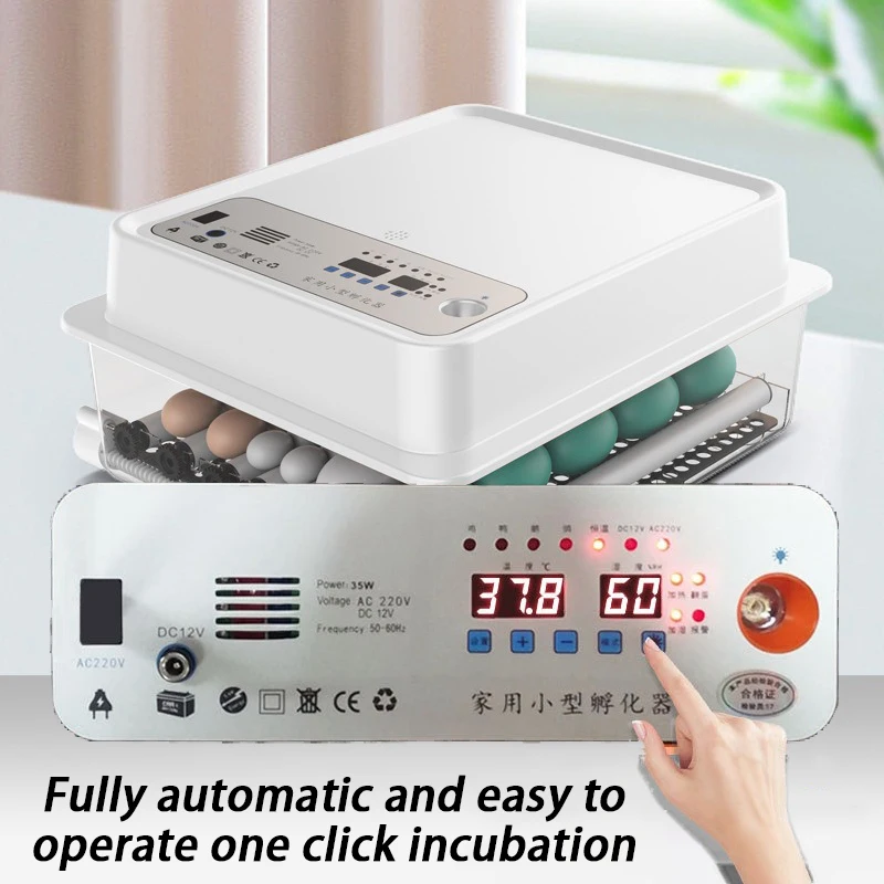 Incubadora automática para huevos – Pato, ganso y paloma - imagen 3