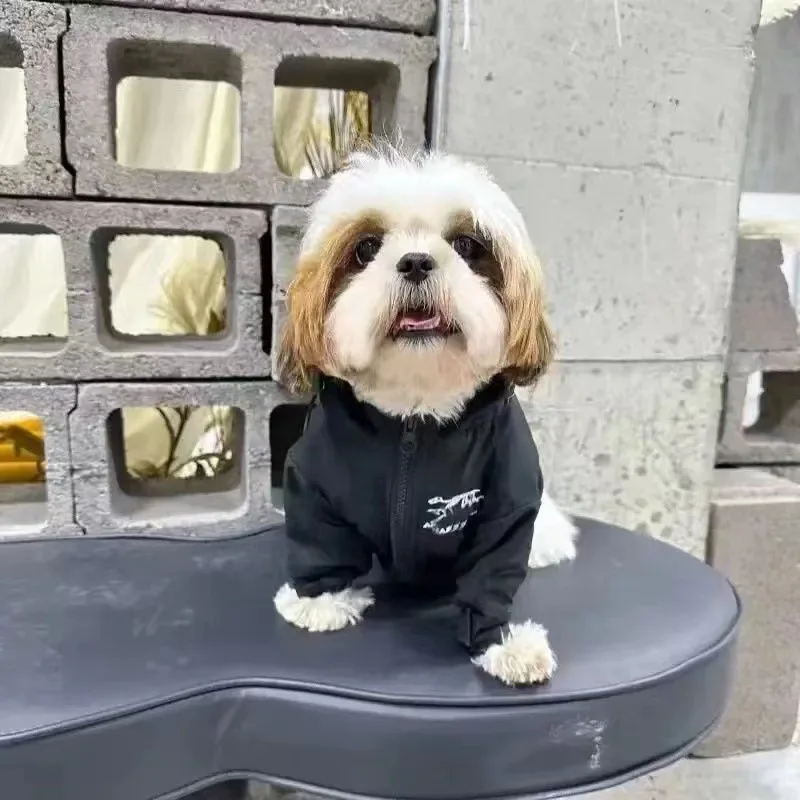 Chaqueta con capucha para perros, oso de peluche, Schnauzer de otoño e invierno, ropa a prueba de viento para perros pequeños, chaqueta, ropa para perros pequeños - imagen 4