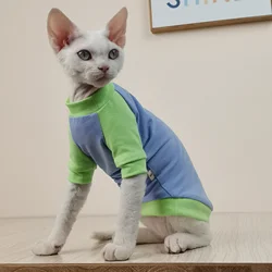 Set ropa gato Sphynx: camiseta verde y abrigo rosa manga larga
