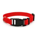 Red dog collar