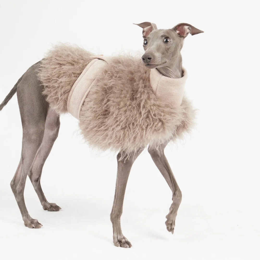 Elegante y cálida chaqueta de capa de felpa para perros en invierno, suéter caqui suave para galgo italiano, abrigo con cintura ajustable para Whippet - imagen 2