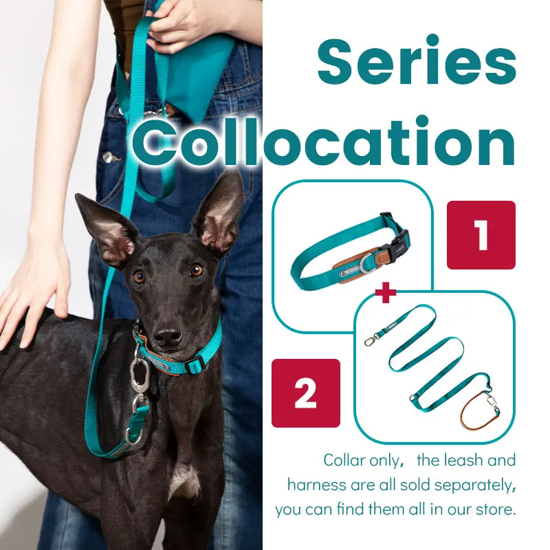 Collar de nailon suave para perro, cadena ajustable antitirones de fácil Control, accesorios de Entrenamiento Personalizados para mascotas - imagen 2