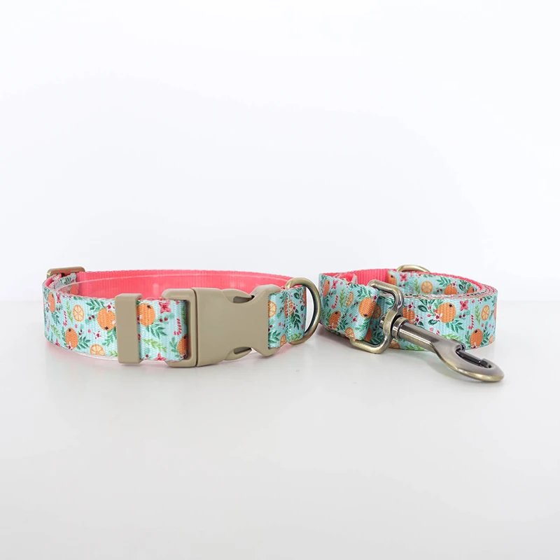 PLATTCO-Collar de poliéster para mascotas, correa con estampado de colores contrastantes, conjunto de Collar para gatos con transferencia de calor, color naranja, paraíso PDC366 - imagen 5