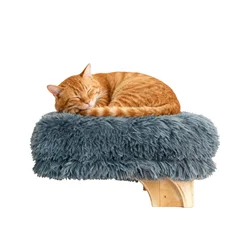 Muebles para gatos, alféizar de ventana, perca para gatos con soportes, hecha de madera dura de calidad, espacio para gatos de madera montado en la pared, cama pequeña para mascotas