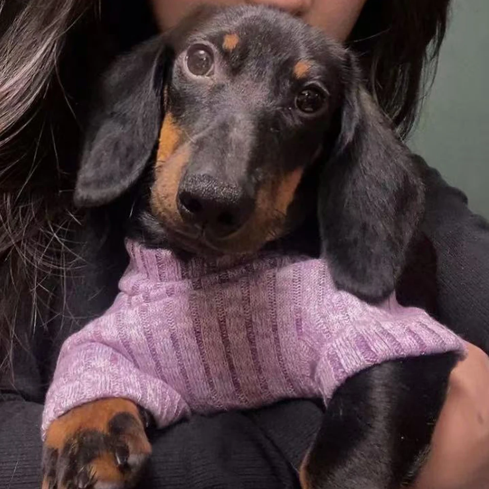 Ropa de pijama cálido para perros dachshund pequeños – púrpura - imagen 5