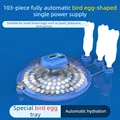 103 bird Egg single