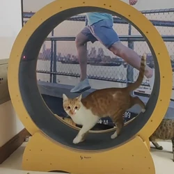 Rueda de ejercicio silenciosa para gatos grandes - caminadora felina