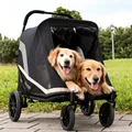 Black stroller