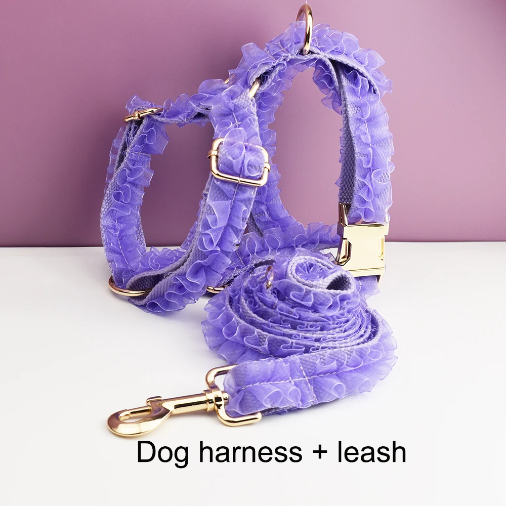 Harness   leash