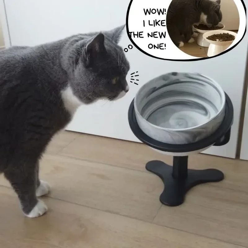 Cuenco elevado ajustable inclinado de acero inoxidable 304, soporte para comida de gato, diseño de calidad extremadamente alta, resistente al óxido de larga duración - imagen 2