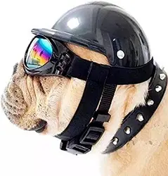 Gafas de sol y gorra protectoras para perros y gatos pequeños