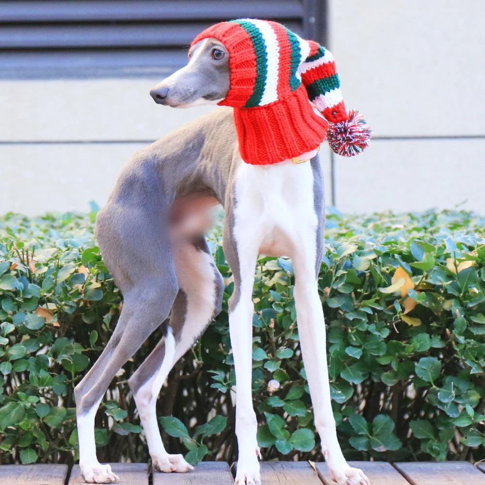 Gorro navideño de punto a rayas rojas con bola de lana para perros medianos, gorro suave y cálido con patrón de Año Nuevo para galgo italiano en invierno