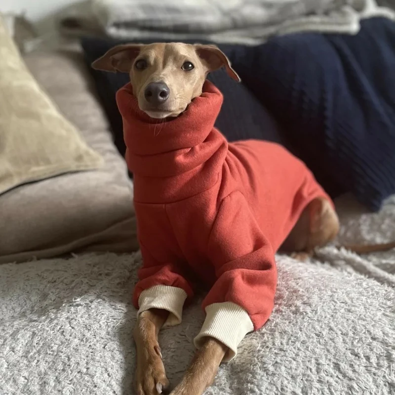 Ropa roja de invierno para perros Whippet, abrigo suave de vacaciones de 2 patas para Italia, ropa de descanso Little Greyhound Bedlington en otoño - imagen 3