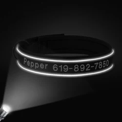 Collar reflectante bordado personalizado para perro con nombre y teléfono