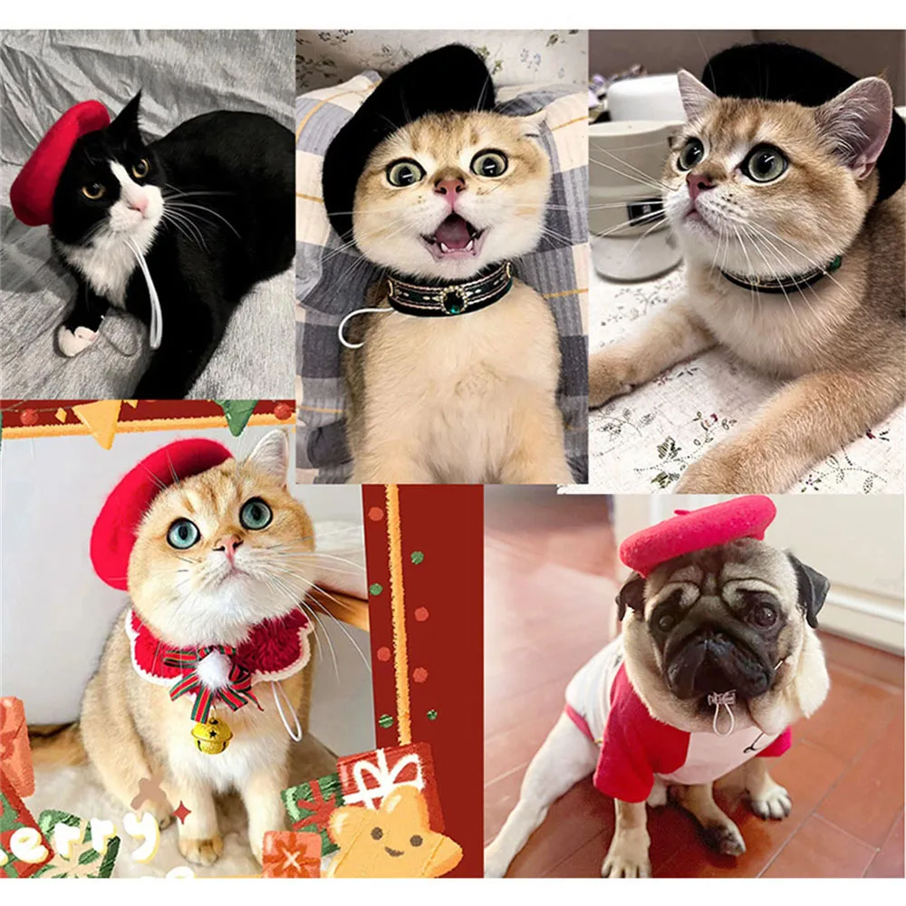 Boina decorativa de Color sólido para mascotas, sombrero de lana, Mini pintor, cálido, perros y gatos, accesorios para fotos de cachorros, 1 unidad - imagen 2