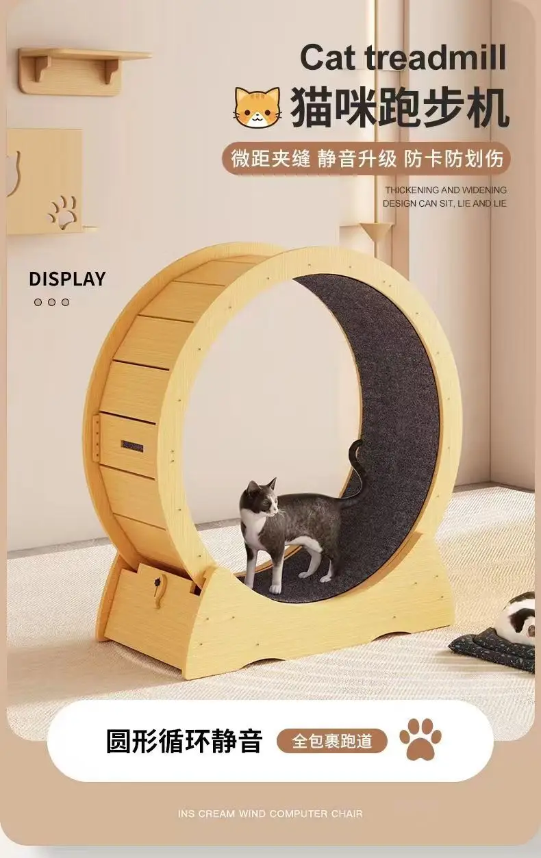 Rueda de ejercicio para gatos en uso