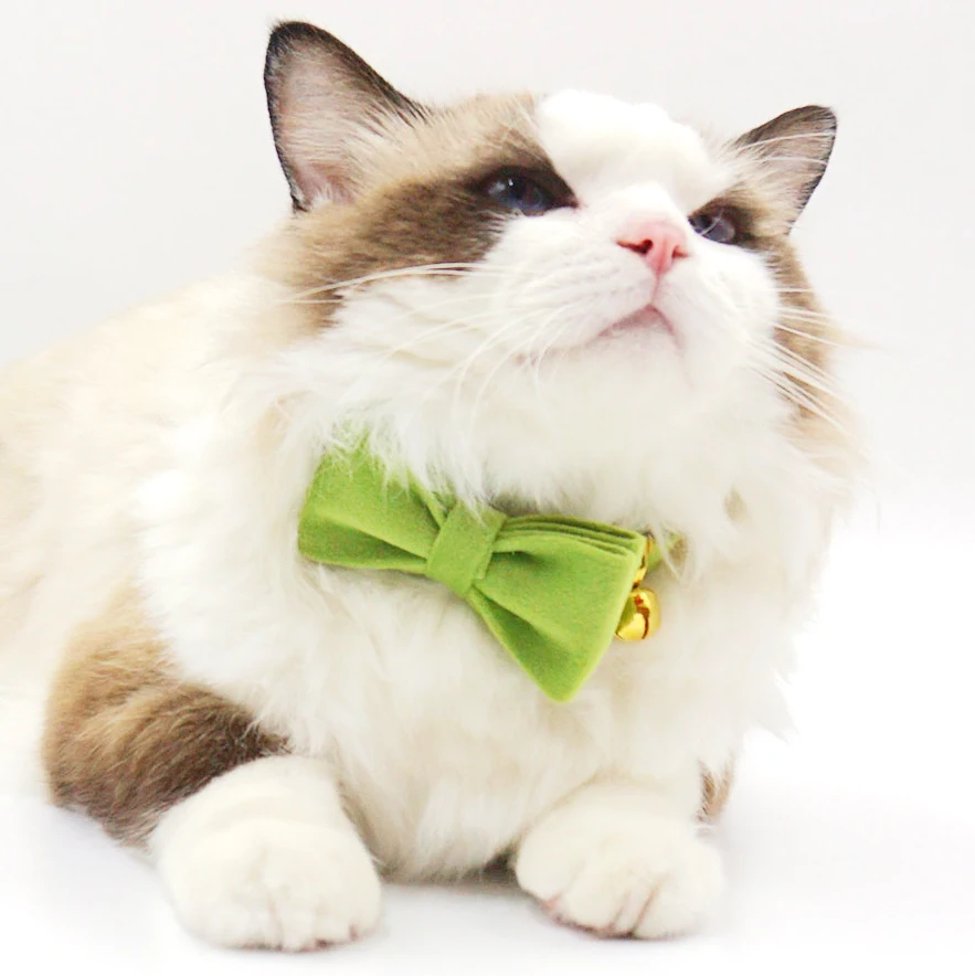 Collar de terciopelo grueso verde Matcha para gatos, Collar de gato con nombre personalizado y Bukcles de Metal, Collar ajustable con bonito lazo para cachorro - imagen 5