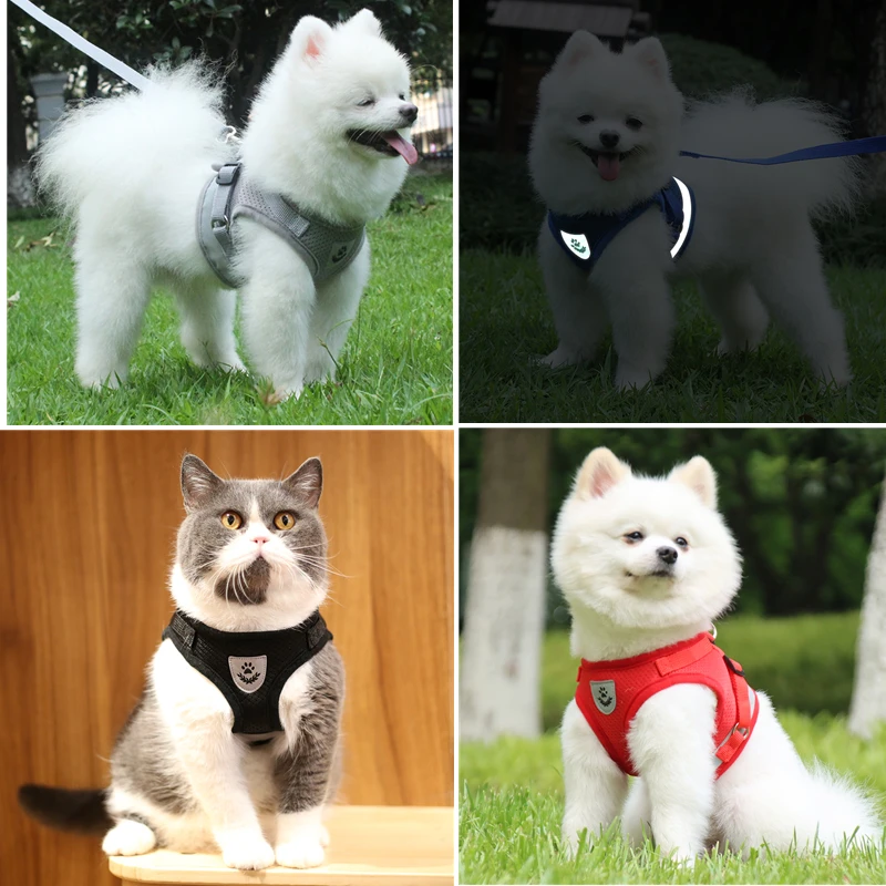 Conjunto de arnés y correa para perro y gato, arnés de pecho para Chihuahua, Bulldog Francés, Pug, chaleco, accesorios - imagen 2