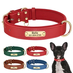 Collar de cuero acolchado para Pitbull y Bulldog – Grabado gratis