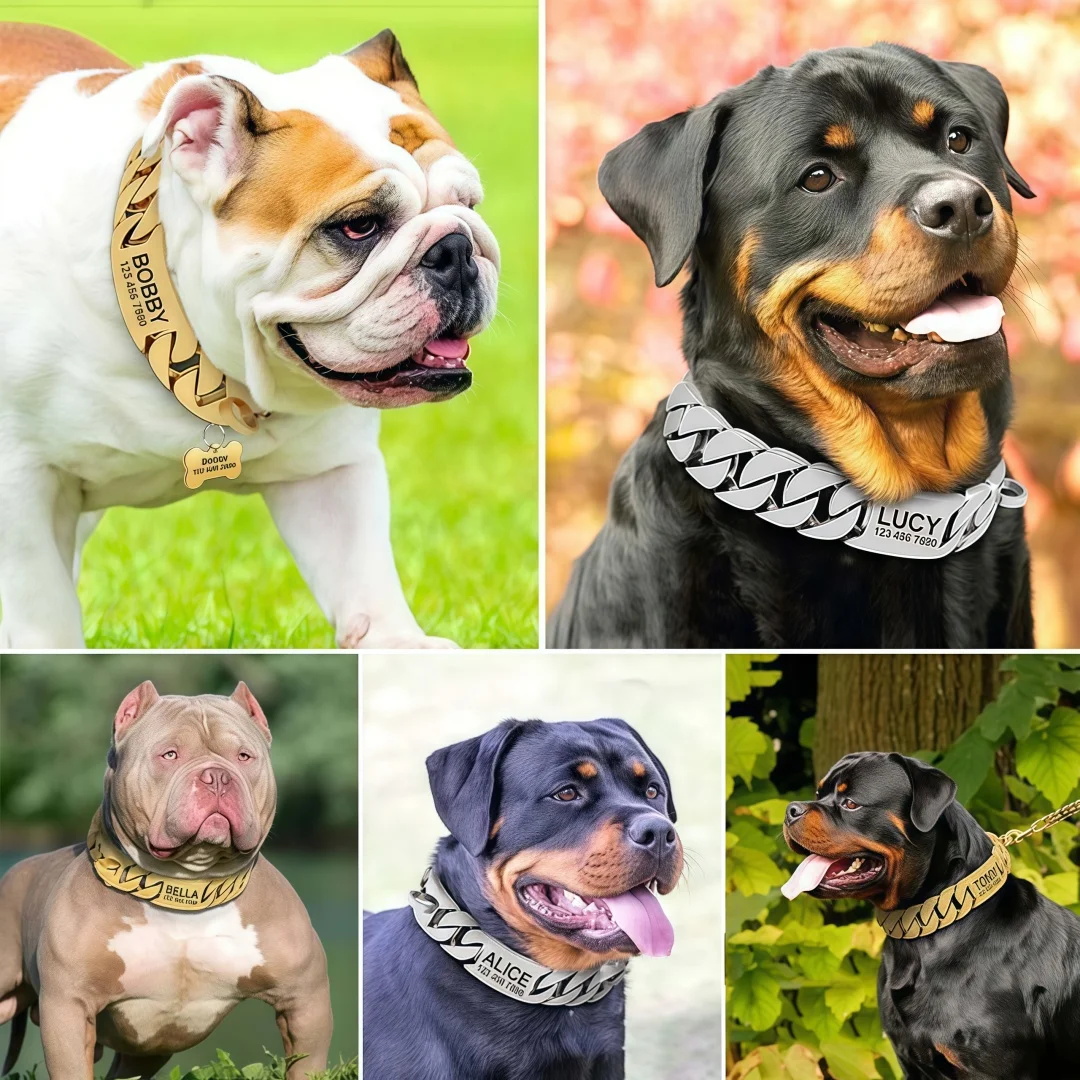 Collar para perros grandes en acero inoxidable 32 mm con letras - imagen 2