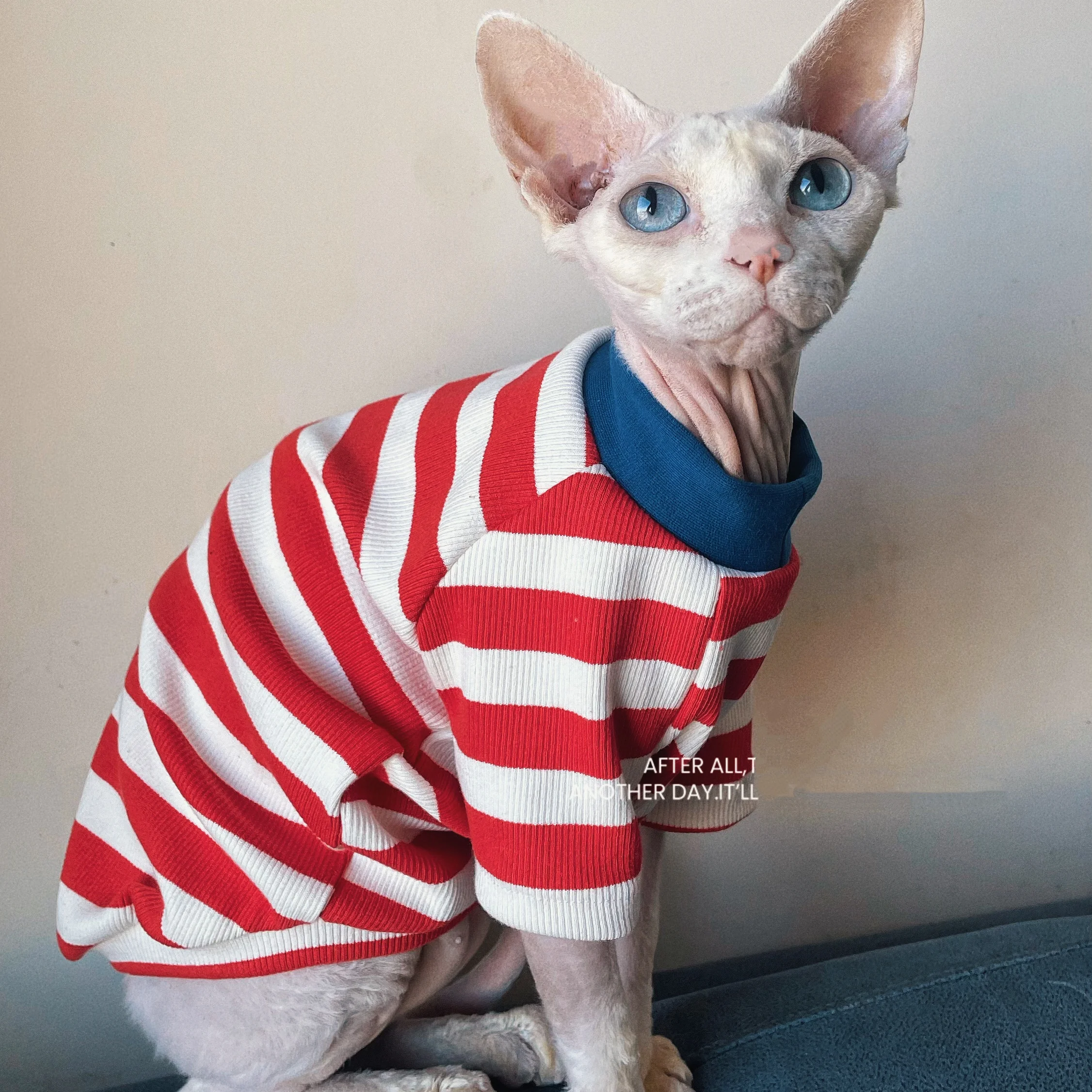 Camiseta de algodón a rayas de otoño para gato sin pelo, abrigo rojo suave y cálido de manga larga para pijamas de primavera Sphynx Cat para Devon Rex - imagen 3