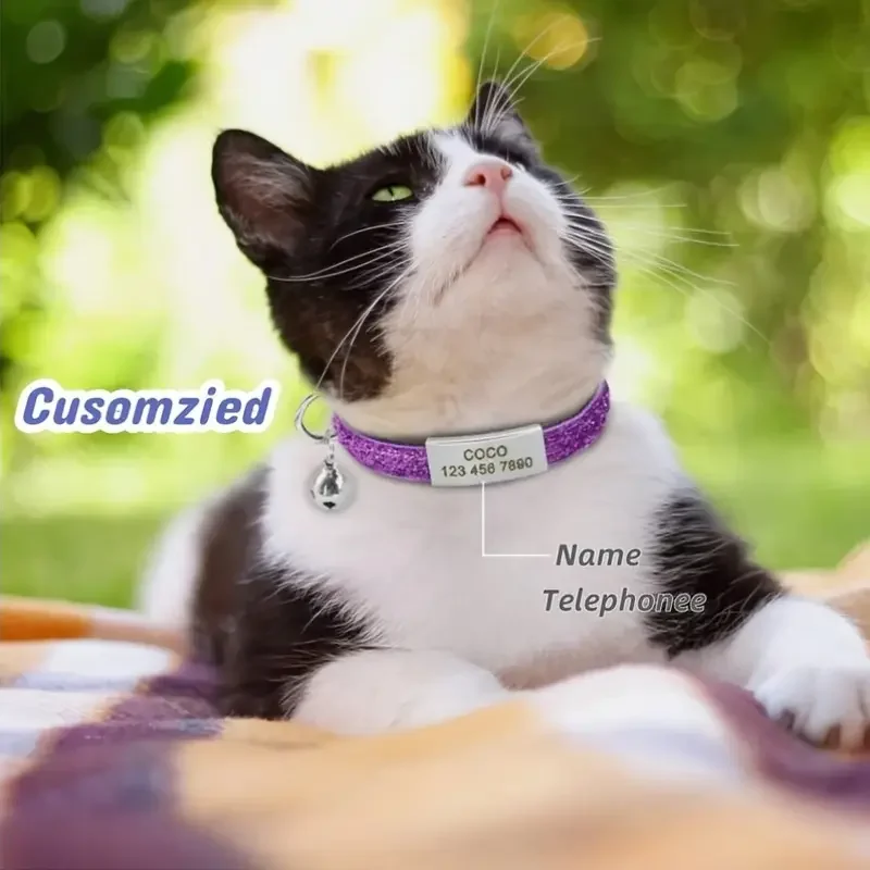 Collar con hebilla de seguridad para gatos con purpurina, ajustable, personalizado, sin identificación, grabado, Collar de nailon para cachorros y gatitos - imagen 3