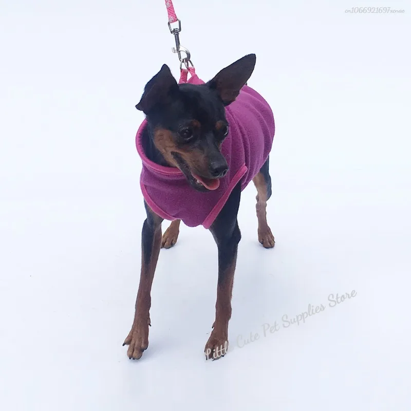 Ropa de invierno para perros, chaleco cálido de lana suave para cachorros y gatos, chaqueta para perros pequeños Shih Tzu Chihuahua, abrigo de Bulldog Francés, disfraz para mascotas