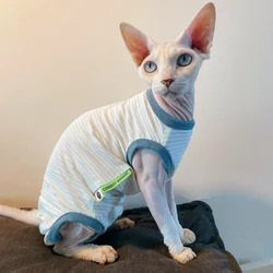 Chaleco solar para gatos Sphynx y Devon Rex – ligero y práctico